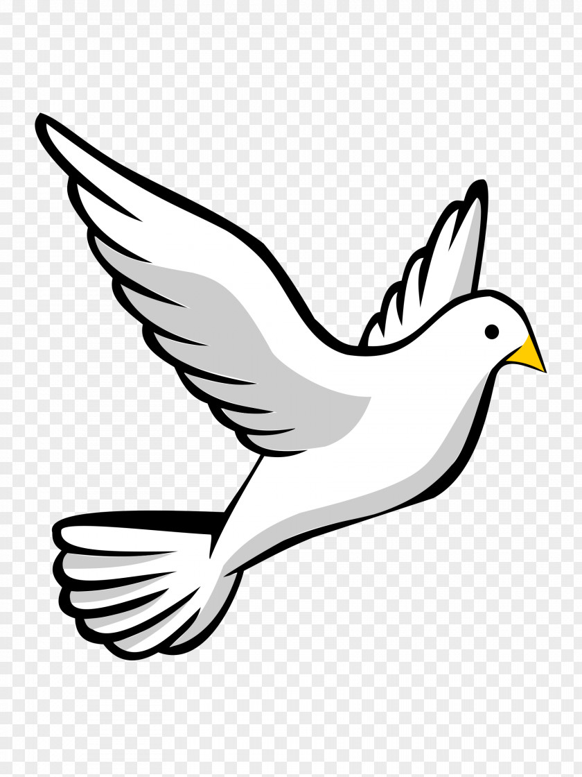 Dove Silhouette Columbidae Doves As Symbols Clip Art PNG