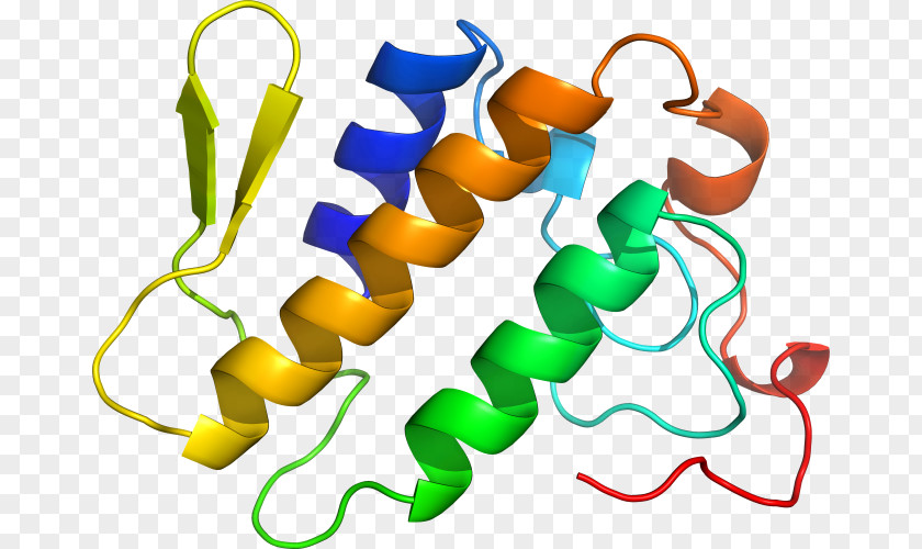 Phospholipase A2 Microorganism Unicellular Organism Clip Art PNG