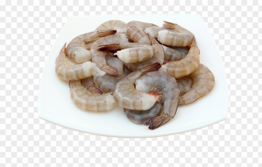 Shrimp Seafood Barbecue And Prawn As Food Cooking PNG
