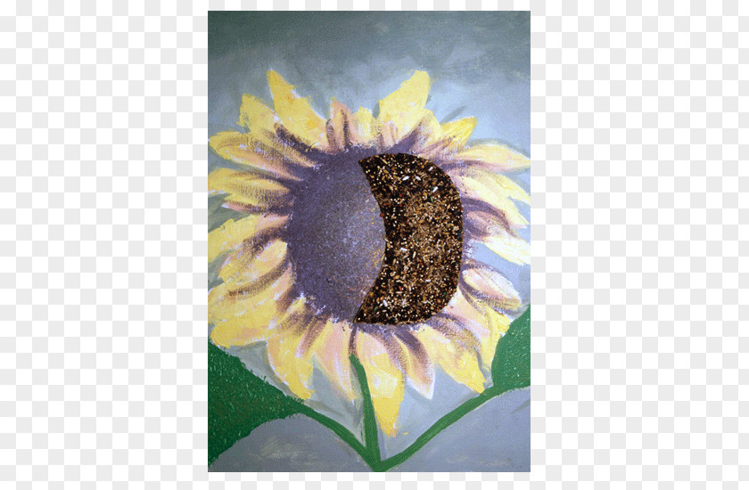 Watercolor Sunflower Common Seed Daisy Family Violet PNG