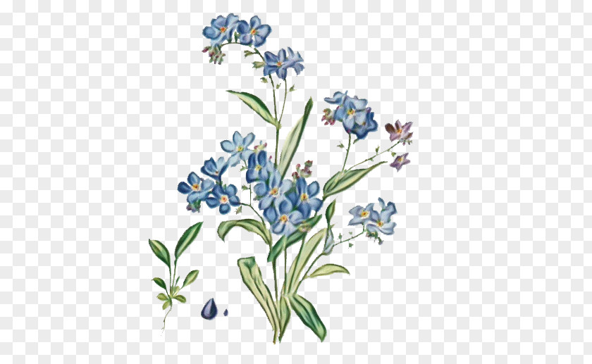 Wildflower Delphinium Watercolor Flower Background PNG