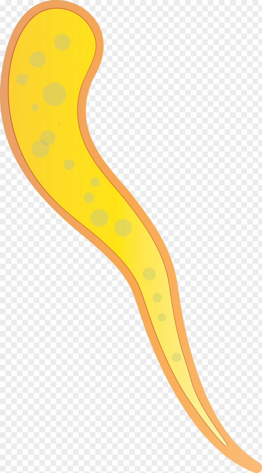 Yellow Flatworm PNG
