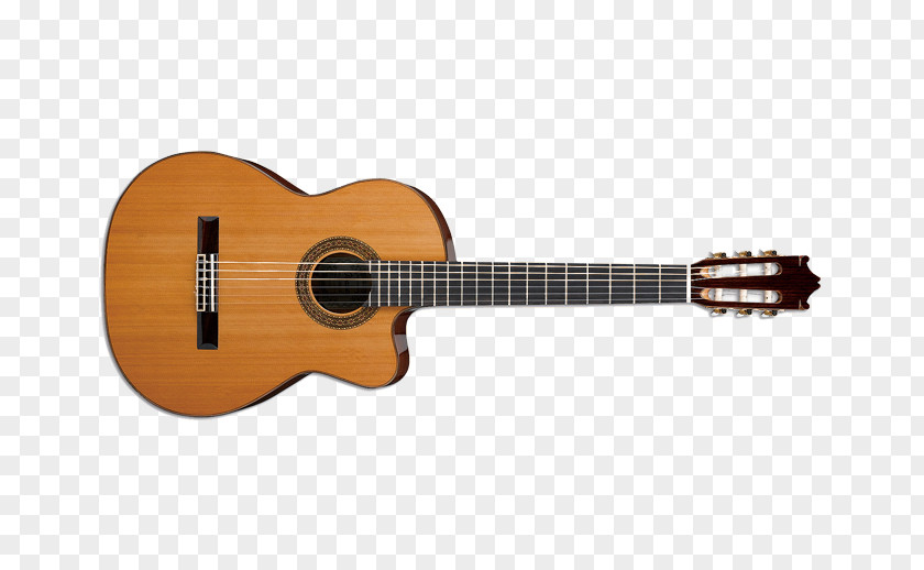 Ancient Musical Instruments Steel-string Acoustic Guitar Classical C. F. Martin & Company PNG