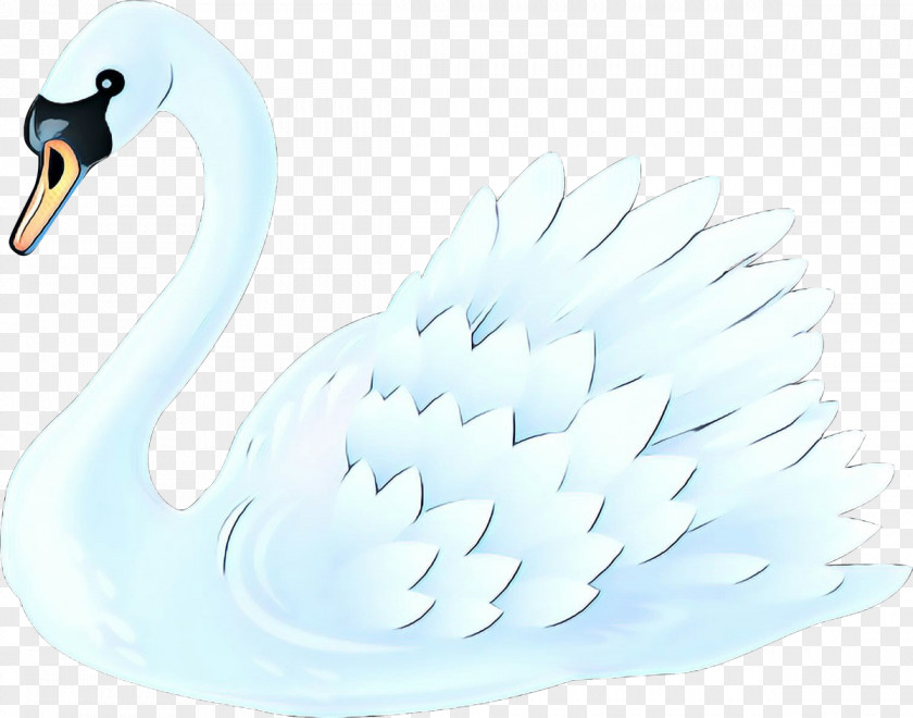 Beak Duck Swan Bird Ducks, Geese And Swans Water Waterfowl PNG