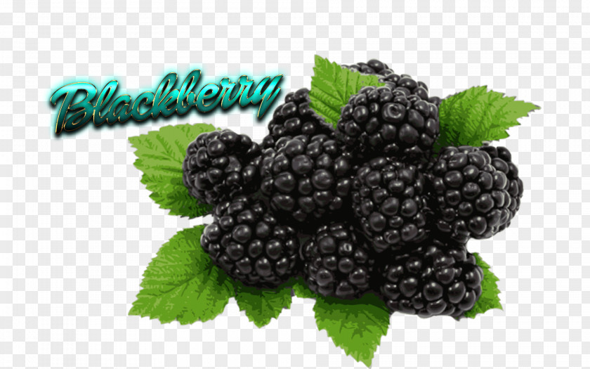 Berries Organic Food Black Raspberry Flavor Fruit PNG