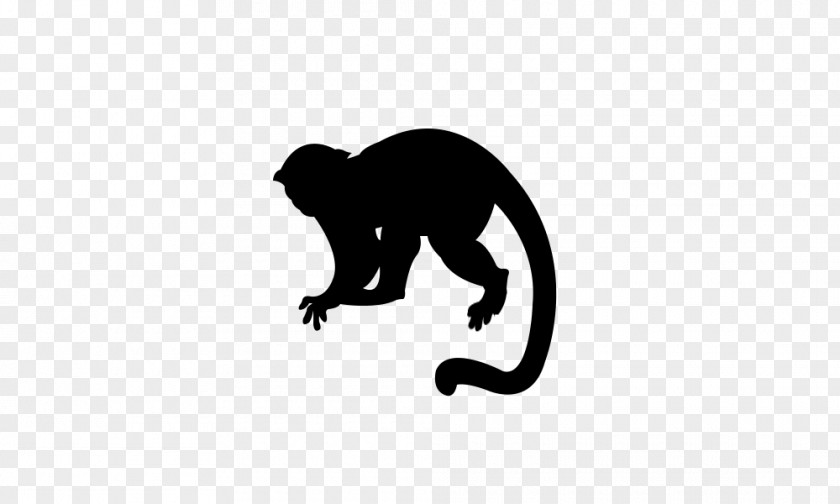 Cat Mammal Great Apes Canidae Dog PNG