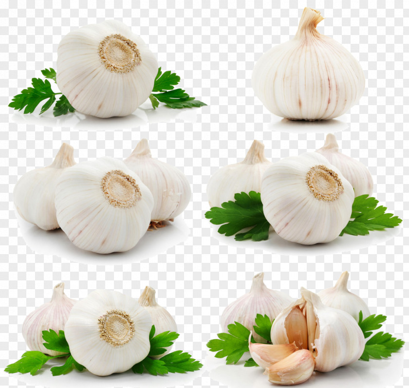 Garlic Collection Fruit Parsley Queso Blanco Stock PNG