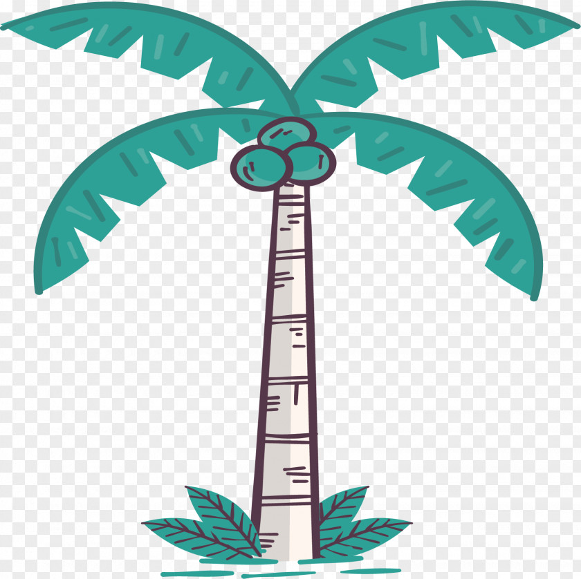 Green Vector Coconut Tree Euclidean PNG