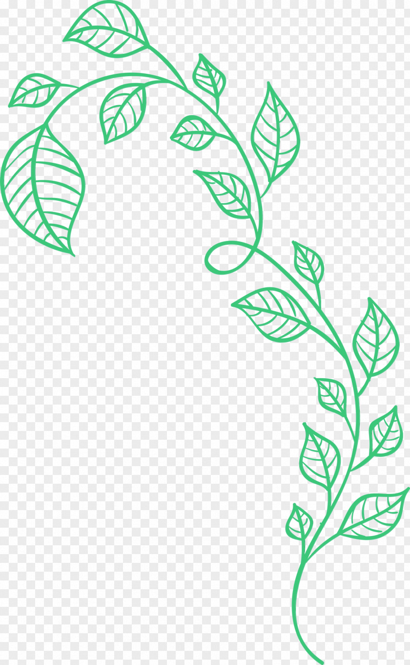 Line Art Leaf Green Plant Stem PNG