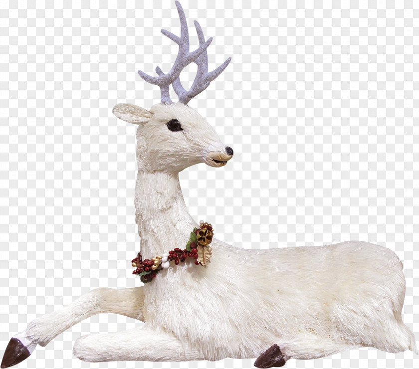 White Goat Reindeer PNG