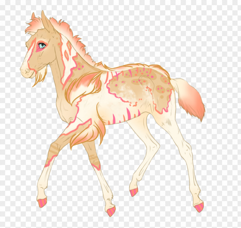 Bloodstained Mane Mustang Foal Stallion Pony PNG