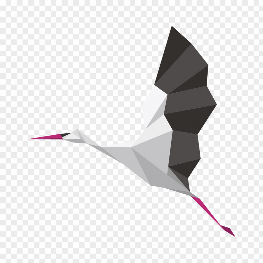 Bluebird Transparency And Translucency White Stork Image Beak PNG