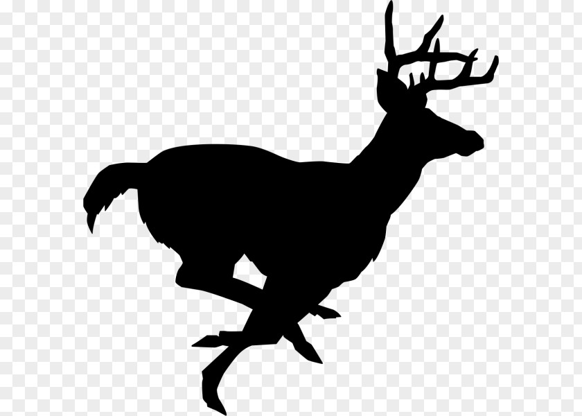 Deer White-tailed Stencil Reindeer Clip Art PNG