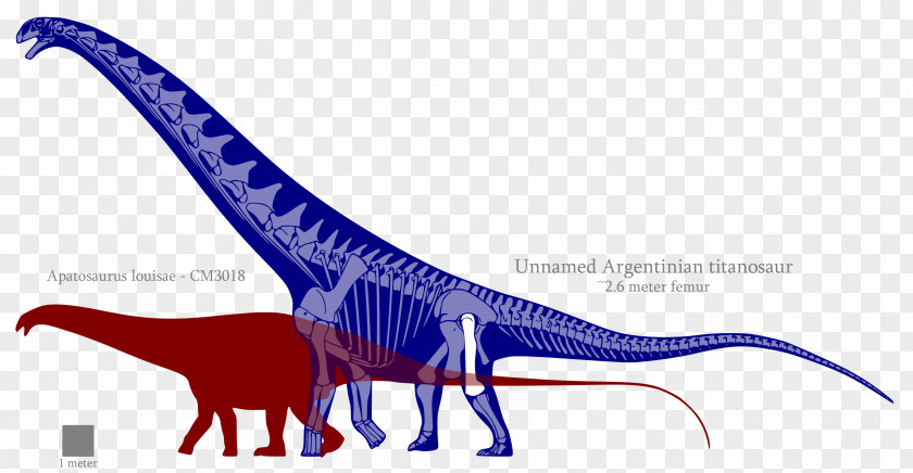 Dinosaur Line PNG