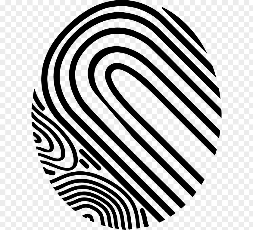 Fingerprints Fingerprint Clip Art PNG