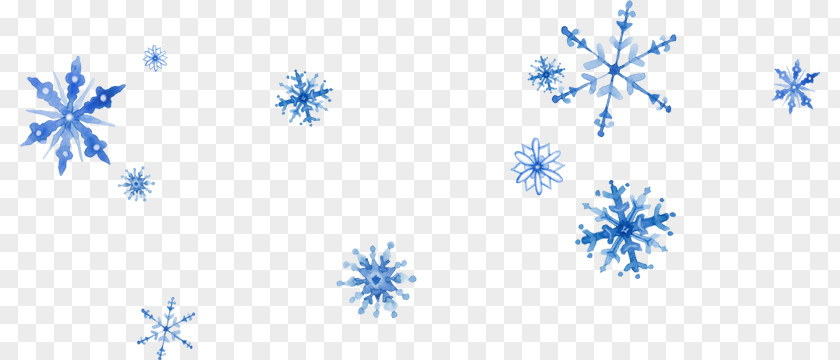 Flocon Snowflake Winter Drawing Painting Paper PNG