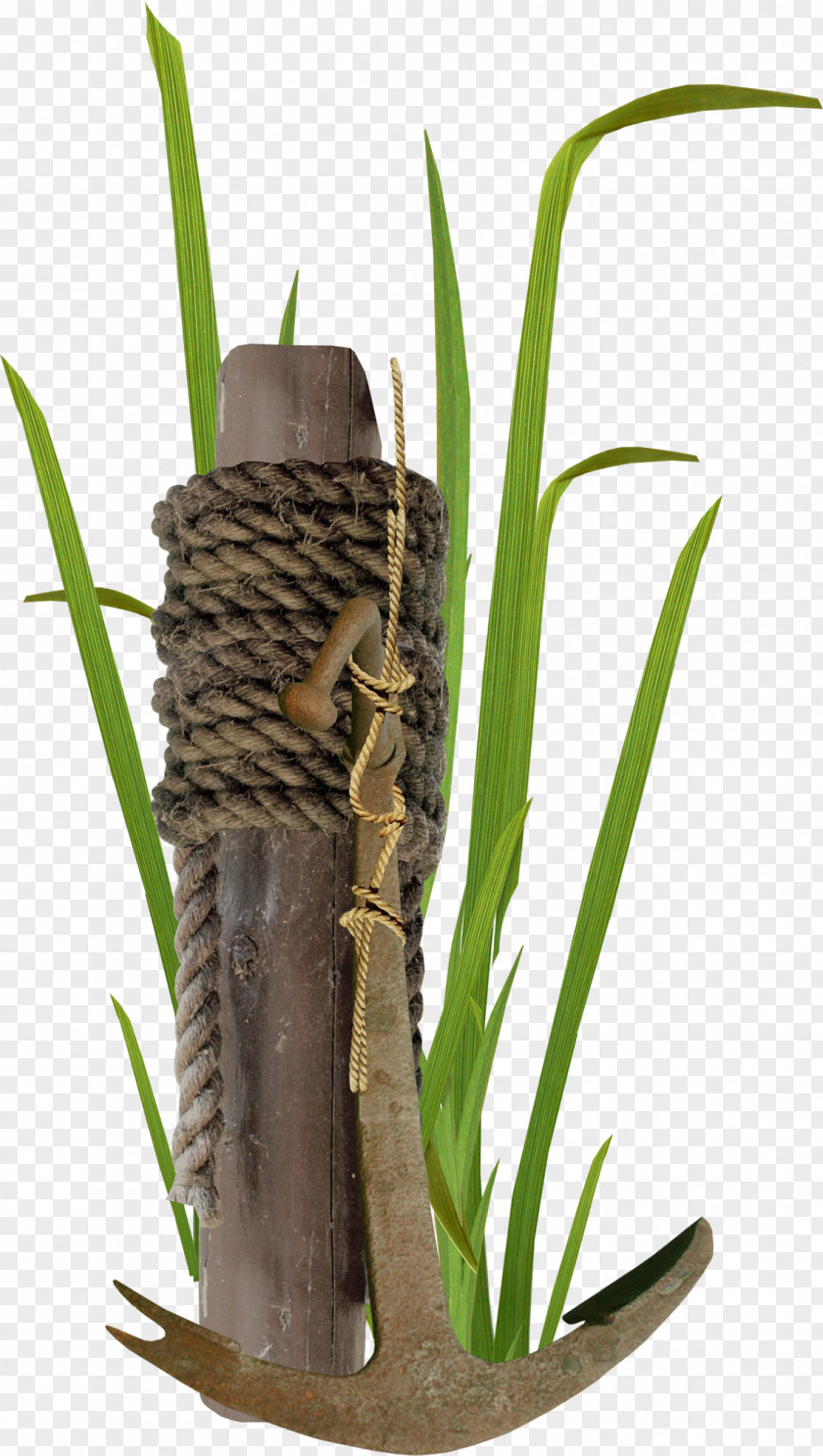 Grass Stakes Rope Electrical Cable PNG