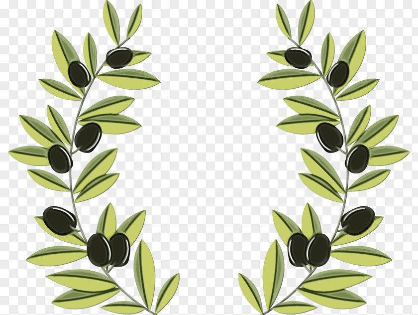 Leaf Plant Tree Branch Flower PNG