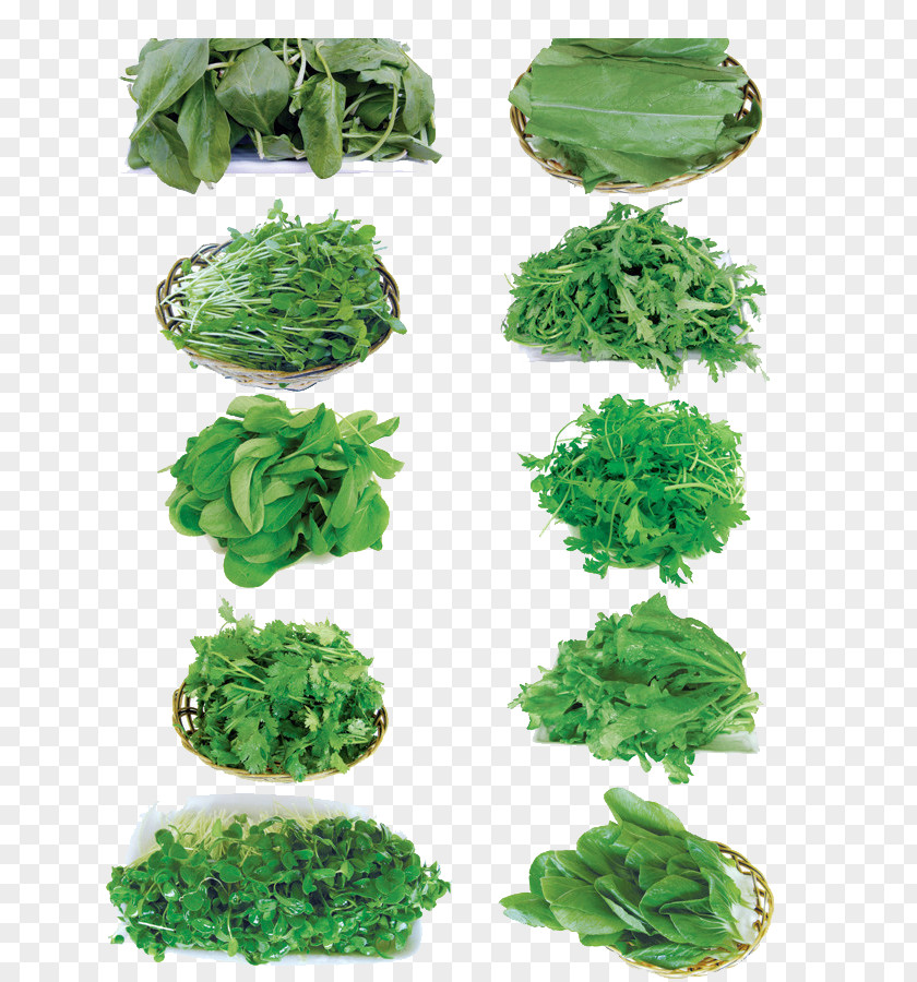 A Variety Of Vegetables And Kale Cabbage Vegetable Spring Greens PNG