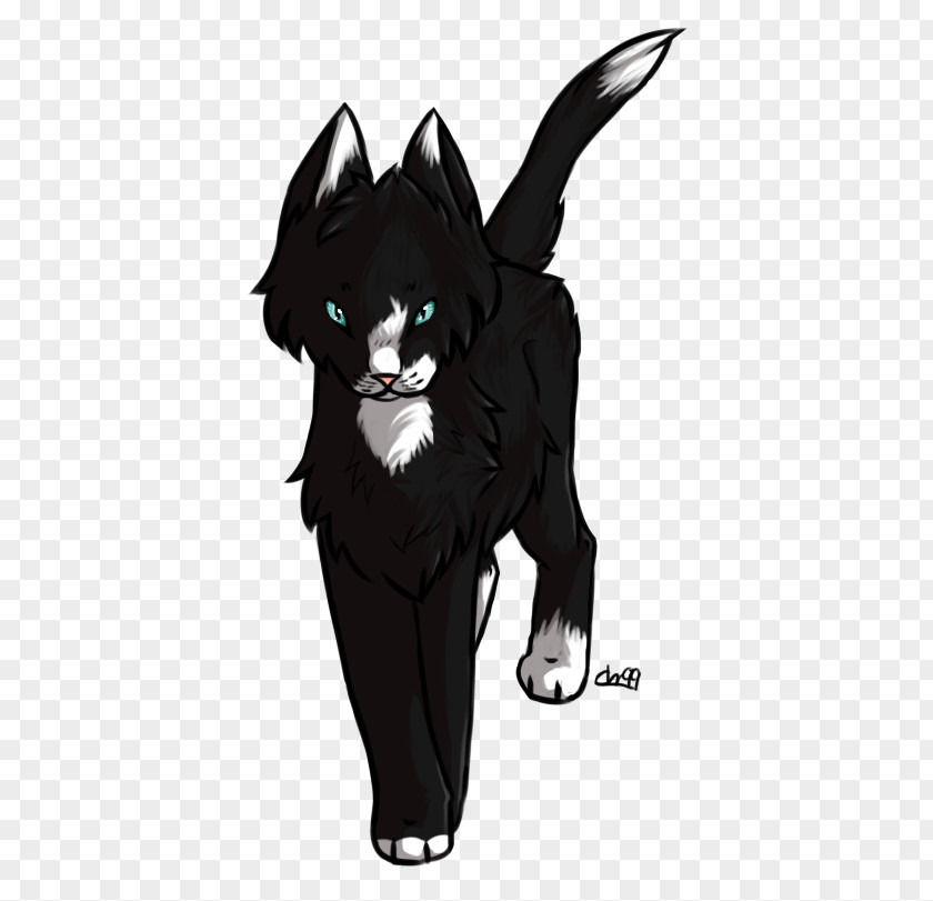 Cat Whiskers Dog Canidae Illustration PNG