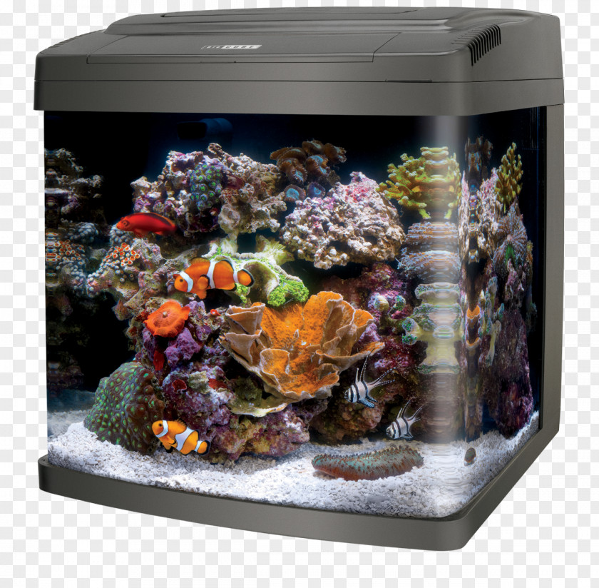 Coralife LED BioCube Bio Cube 32 Aquariums Reef Aquarium PNG