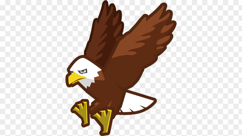 Eagle Hawk Beak Chicken As Food Clip Art PNG