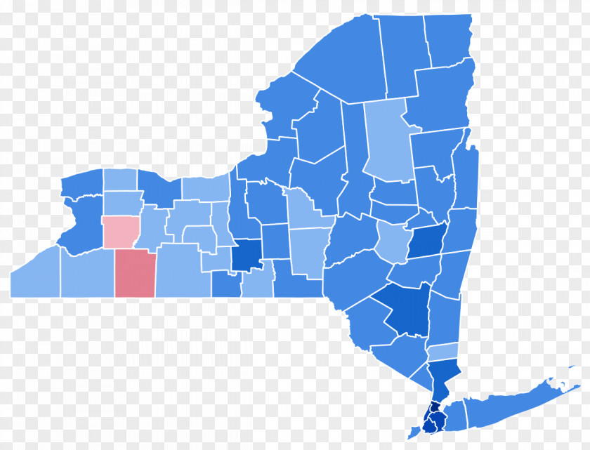 New York City Gubernatorial Election, 2010 State 1962 Conservative Party Of 1982 PNG