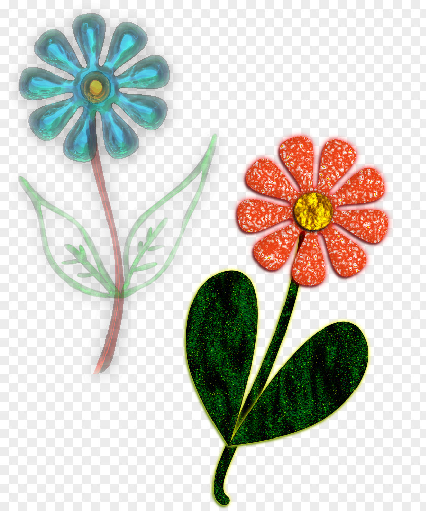 Pressed Flower Flowers6 Petal Flowering Plant PNG