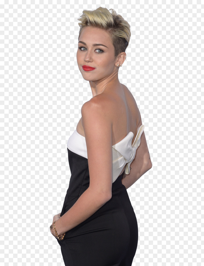 Wig Sets Miley Cyrus Hannah Montana Photography PNG