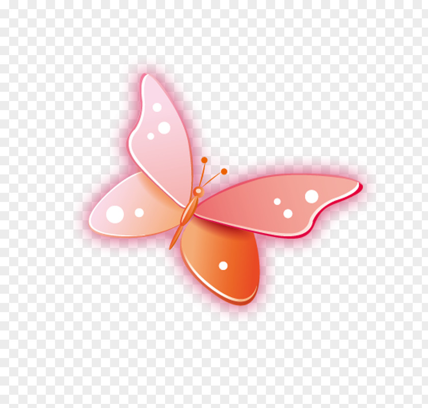 Cartoon Butterfly Drawing PNG