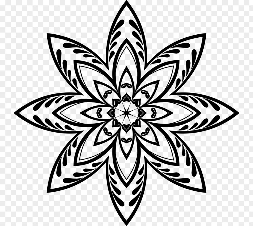 Drawing Stars Line Art Floral Design Clip Vector Graphics PNG