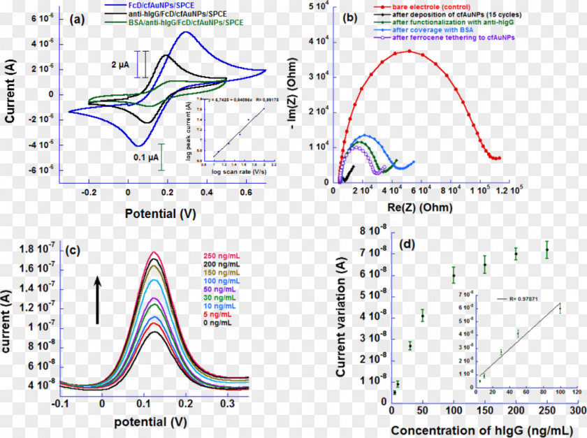 Gold Particles Ferrocene Electrode Biosensor Nanostructure PNG