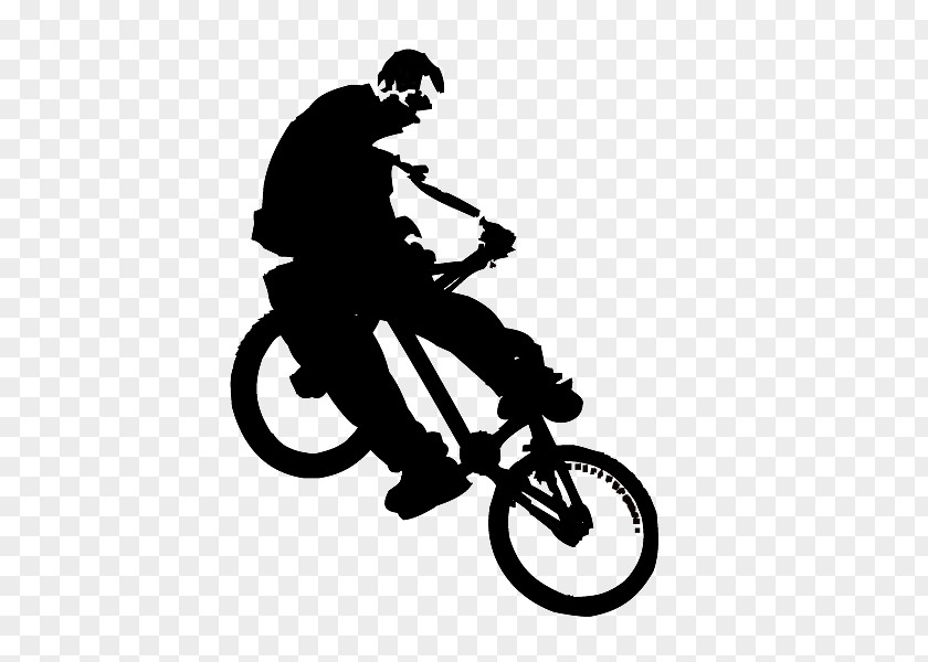 Land Vehicle Cycling Bicycle Freestyle Bmx PNG