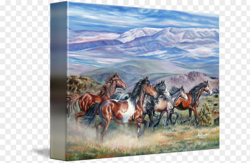 Mustang Stallion Steppe Ranch Painting PNG