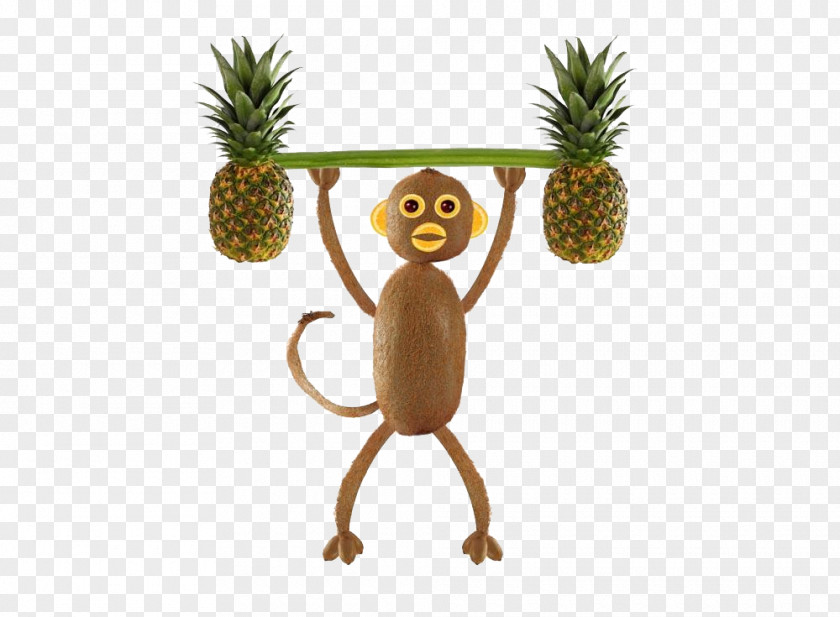 Pineapple Monkey Kiwifruit Vegetable Stock Photography Food PNG