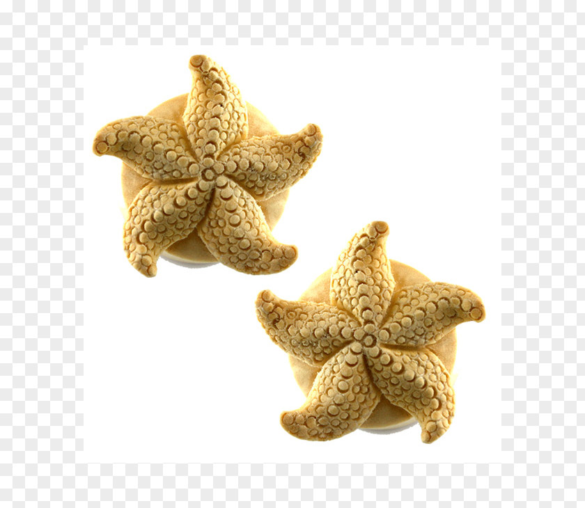 Starfish Plug Wood Carving Stuffed Animals & Cuddly Toys PNG