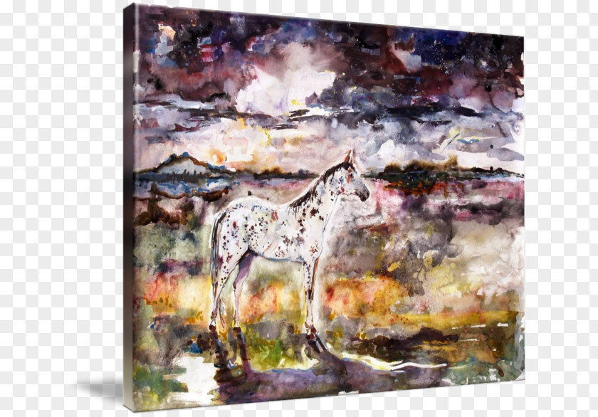 Watercolor Horse Appaloosa Spirit Painting Mustang Gallery Wrap PNG