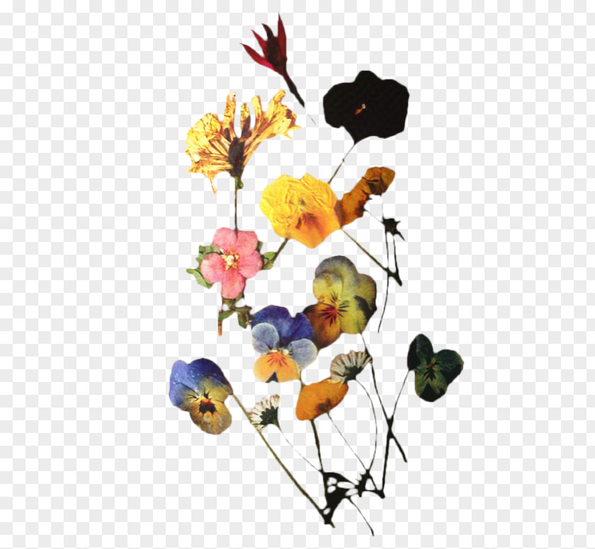 Wildflower Branch Flowers Background PNG