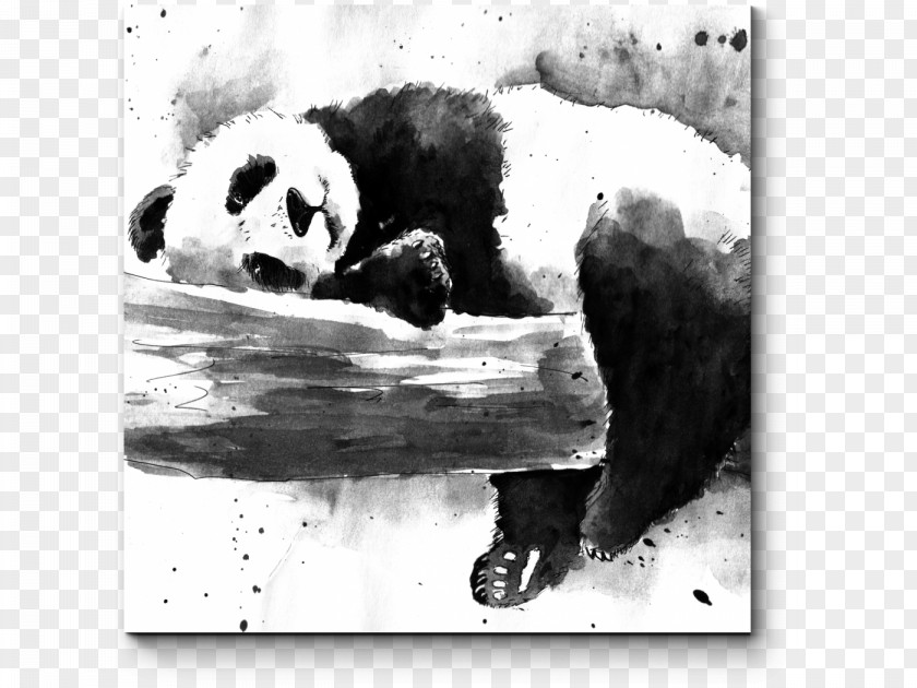 Bear Giant Panda Watercolor Painting Drawing Paper PNG