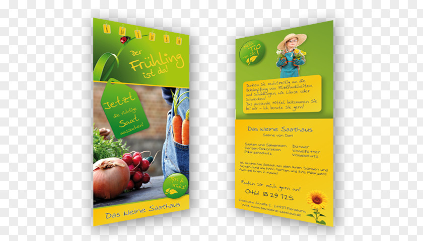 Layout Flyers Flyer Advertising Brochure Text PNG