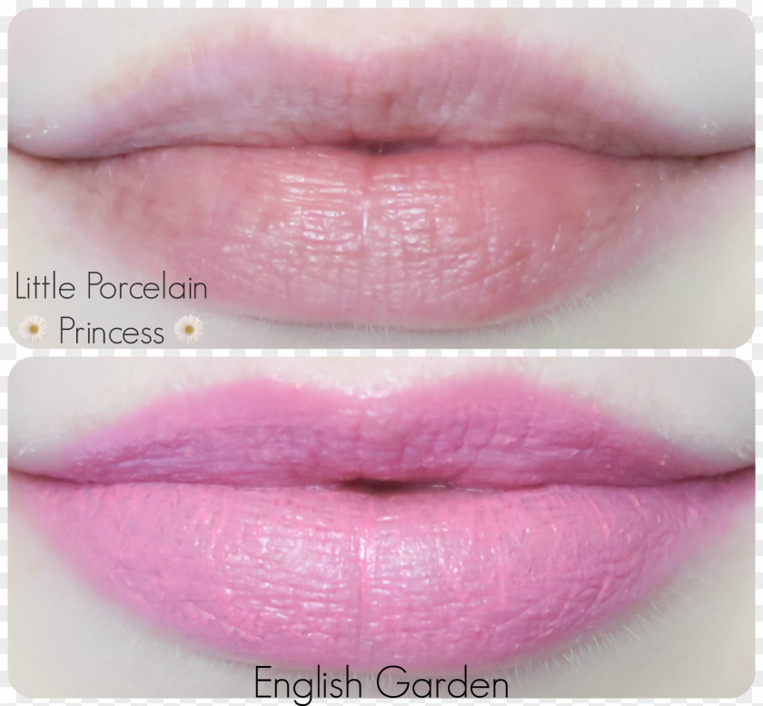 Lipstick Lip Gloss Etude House Tints And Shades PNG