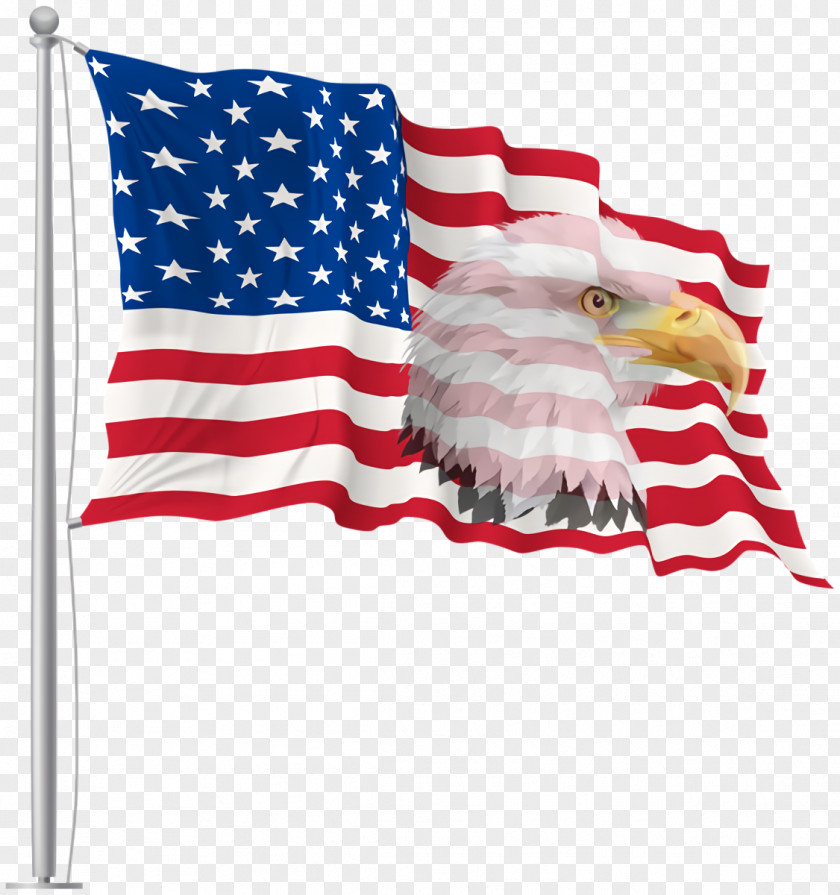 Memorial Day Sea Eagle Veterans Usa Flag PNG