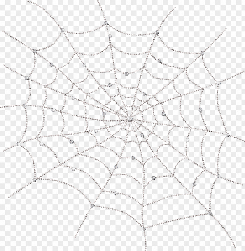 White Spider Web PNG
