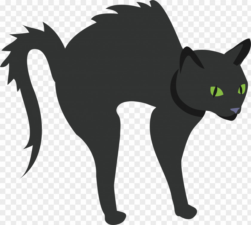 A Frightened Black Cat PNG