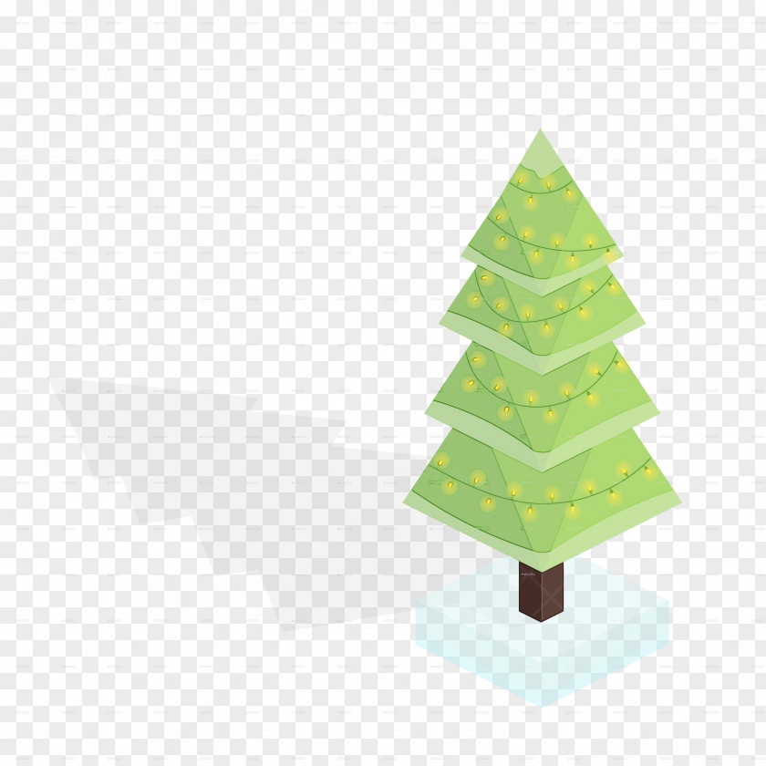 Colorado Spruce Conifer Christmas Tree PNG