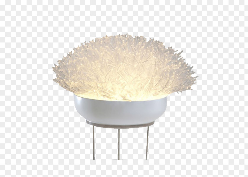 Creative Sea Anise Lamp Light Anemone Coral PNG