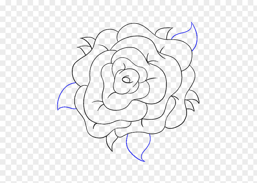 Drawn Rose Drawing Line Art Clip PNG
