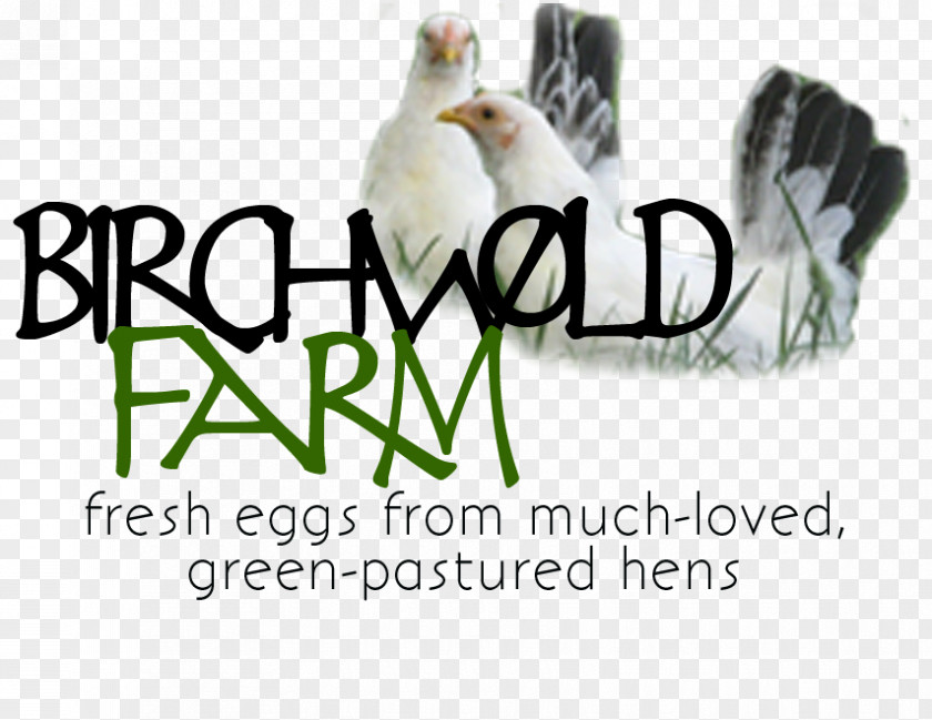 Farm Fresh Logo Brand Chicken As Food Font PNG