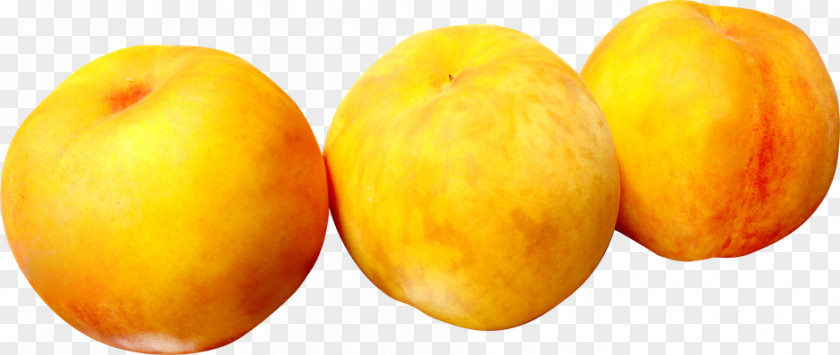 Peach Branch Fruit PNG