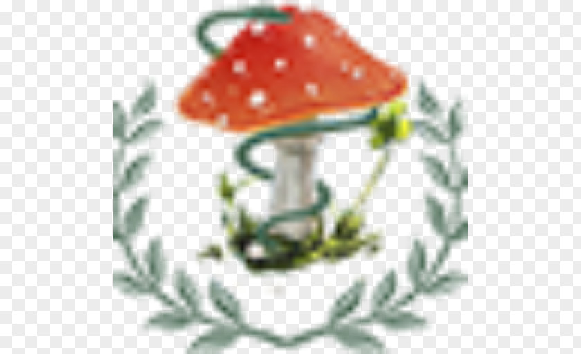Pharmacy Las GarzasConstruction Medicine Amanita Muscaria Physician Outpatient ClinicOthers Apotheke PNG